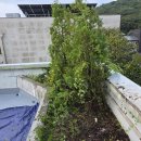 상가건물 지붕수리 지붕공사 화단에 뚜껑 방수층 시공 작업 이미지