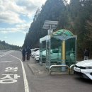 남조로사려니숲길 앞 이미지