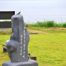 서천금빛노을서울캠핑장 이미지