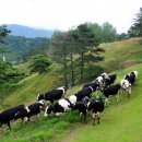 복지농장 이미지