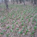 정진훈농장 이미지