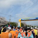 하프 | 2026 장흥 정남진 마라톤대회 하프 따라간 후기 (+기록)