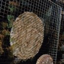 고성방가 게스트하우스 이미지