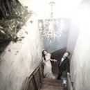 더풀하우스 이미지