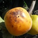 선행농원 이미지