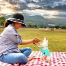 놀이터 반려견 미용실 이미지