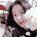 주현 카카오 검색결과