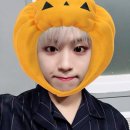 스노우즈 이미지