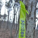 노포사송로 이미지