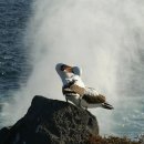 인공지능과 인간의 미래 이미지