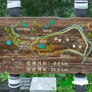 강변의 숲속 이미지