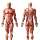 글로우짐 이미지