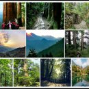 도교3교 이미지