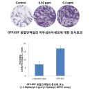 넥스젠 - 성남시 중원구 둔촌대로 400 | 넥스젠