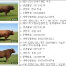 마블링 푸드 이미지