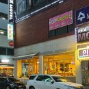 안산 분위기 애견동반 카페 뉴탭 내돈내산 후기