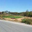 운남공인중개사사무소 이미지