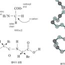 (주)에스씨아이 이미지