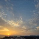 오이도전통수산시장 | 오이도 전통 수산시장 꽃게 가격 내돈내산 후기