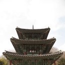 곡성-253 | (한국의 산사 108-39) 화마가 삼켜버린 보물, 쌍봉사 대웅전