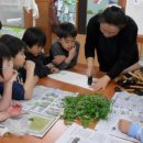 음봉초등학교 이미지