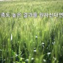 에이치엔마케팅