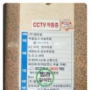 삼산정철어학원 네이버블로그