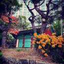 용신목장 이미지