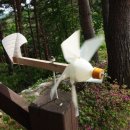 매봉산 식당 이미지