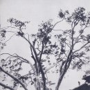 주식회사 백송 이미지