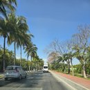 신성대형카 | 멕시코(바야돌리드), 256일 ~ 257일차