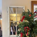 플루트 | 📍경복궁 근처 카페 라프레플루트 후기｜딸기밭케이크 맛집