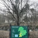 청룡산 | 관악구 공원 등산로 산책 추천 청룡산 (아이들 체험학습 놀이터 놀거리) 후기