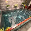 5월의 호이안 올드타운/ Brother Villa Hoi An 브라더빌라 호이안1박 숙박후기