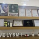 블리즈미