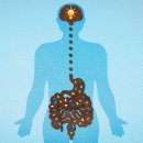 온체헬스스토어 이미지