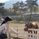 샘밭목장 이미지