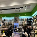 크록스롯데김포공항점