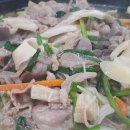 오리궁뎅이 이미지