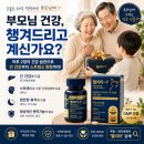 웰커넥트 | [부모님 선물 추천] 웰리타-Y 밀크씨슬 테아닌 복합영양제 후기｜간 건강·스트레스 관리
