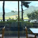 운암애견 이미지