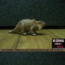 프로토케라톱스 이미지