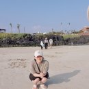 삼구회포장센터 티스토리