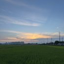 버거킹논산건양대점 이미지