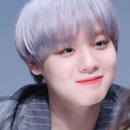 단델리온 이미지