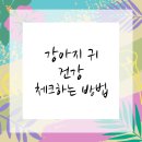 이상동물병원 이미지