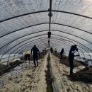 장암농업협동조합 이미지