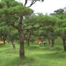 영현목장 이미지