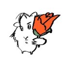 코인악쓰는하마 노래연습장 은행점 이미지