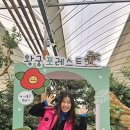 왕궁포레스트 이미지